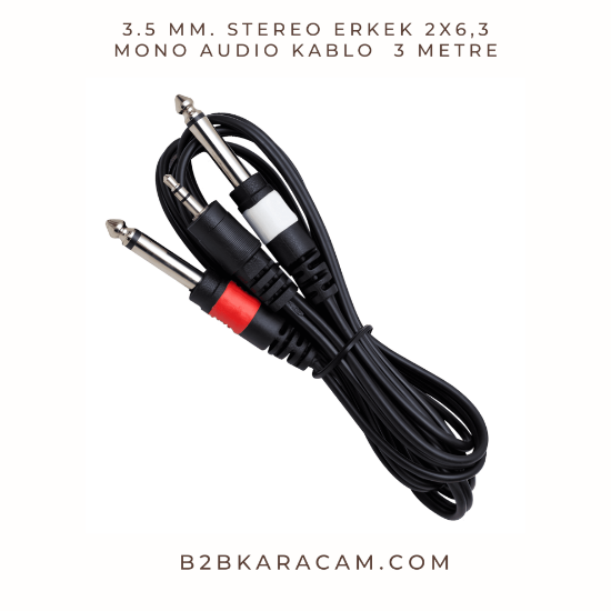 3.5 mm. STEREO ERKEK 2x6,3 MONO AUDIO KABLO  3 METRE resmi