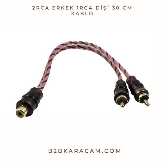 2RCA Erkek 1RCA Dişi 30 cm Kablo resmi