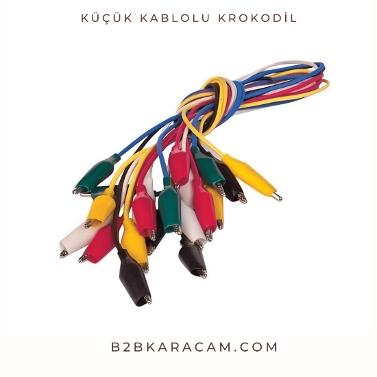 Küçük Kablolu Krokodil resmi