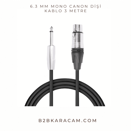 6.3 MM MONO CANON DİŞİ KABLO 3 METRE resmi