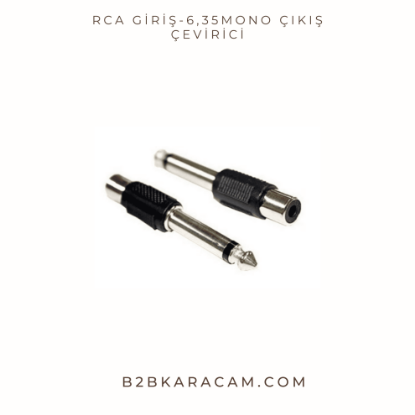 RCA Giriş-6,35Mono Çıkış Çevirici resmi