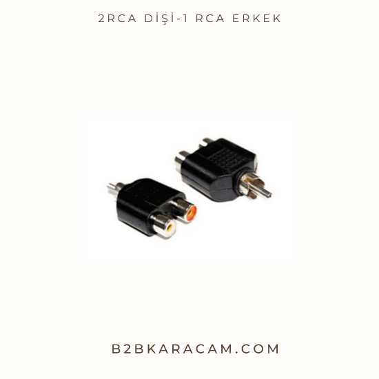 2RCA Dişi-1 RCA Erkek resmi