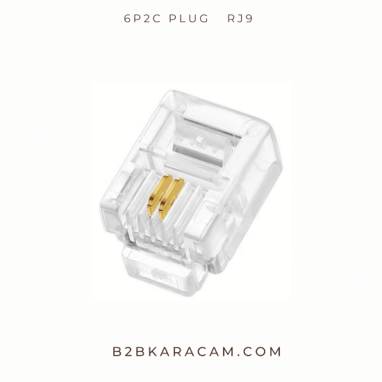 6P2C Plug   RJ9  resmi