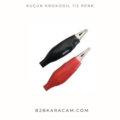 Küçük Krokodil 1/2 Renk resmi