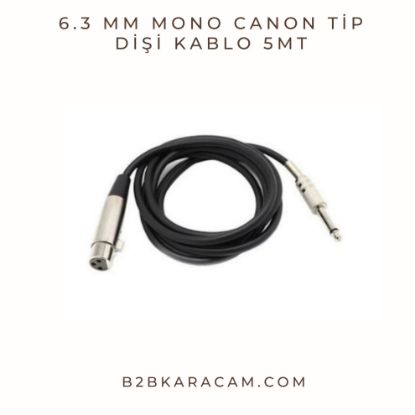 6.3 mm Mono Canon Tip Dişi Kablo 5mt resmi