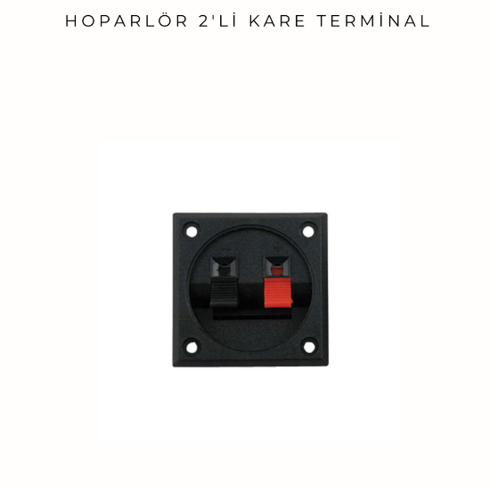 2'li Hoparlör Terminali resmi