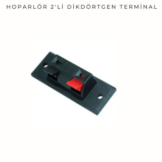 2lü Hoparlör Terminali resmi